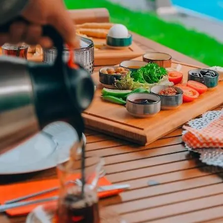 Zenit Domek alpejski *